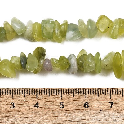 Natural Jade Chip Beads Strands X-G-B160-B02-1