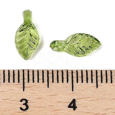 Transparent Acrylic Charms TACR-F009-11C-1