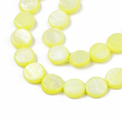 Freshwater Shell Beads Strands SHEL-T009-B16-01-1