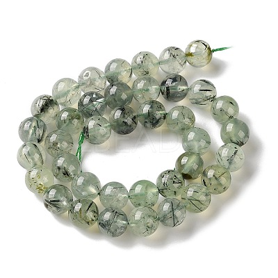 Natural Prehnite Beads Strands G-G474-A01-10mm-1