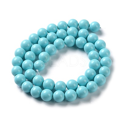 Shell Pearl Beads Strands SP8MM245-1