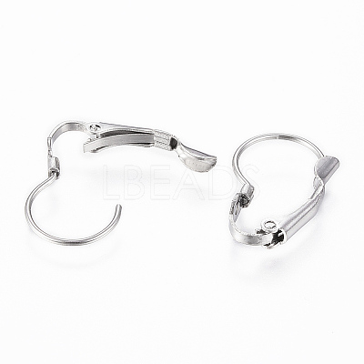 Tarnish Resistant 304 Stainless Steel Leverback Earring Findings LS-STAS-G161-20B-1