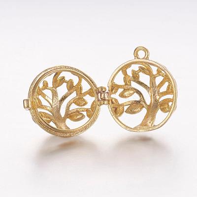 Brass Cage Pendants KK-K173-03G-1