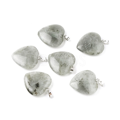 Natural Labradorite Pendants G-G956-B45-FF-1
