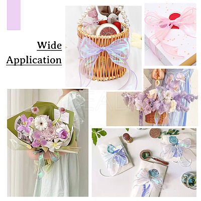 3 Rolls 3 Colors Flat Rainbow Color Organza Ribbon OCOR-TA0001-47-1