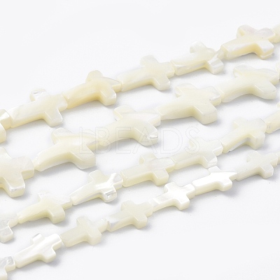 Natural Trochid Shell/Trochus Shell Beads Strands SSHEL-K027-02-1