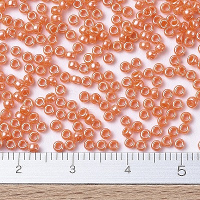 MIYUKI Round Rocailles Beads X-SEED-G007-RR0424-1