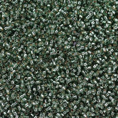 MIYUKI Delica Beads X-SEED-J020-DB2165-1