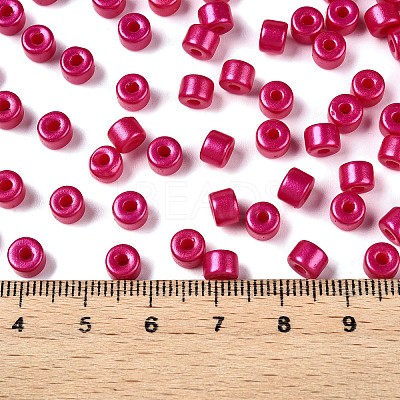 Baking Paint Pearlized Glass Seed Beads SEED-T008-03O-1