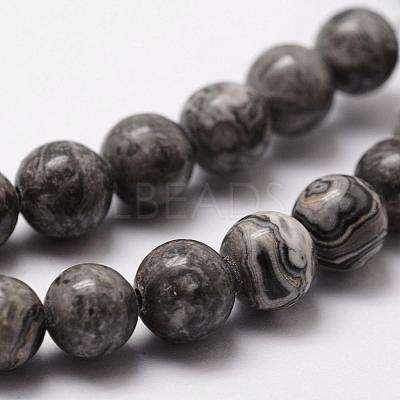 Natural Map Stone/Picasso Stone/Picasso Jasper Bead Strands G-D840-60-8mm-1