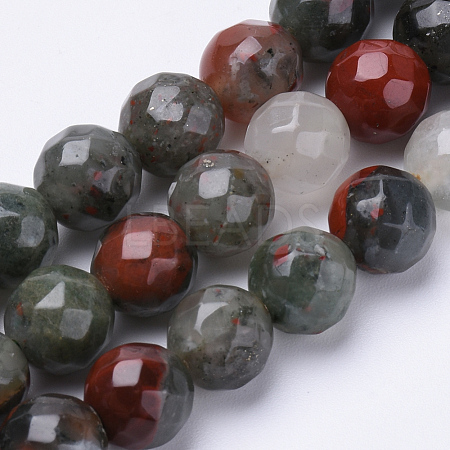 Natural African Bloodstone Beads Strands G-S281-21-6mm-1