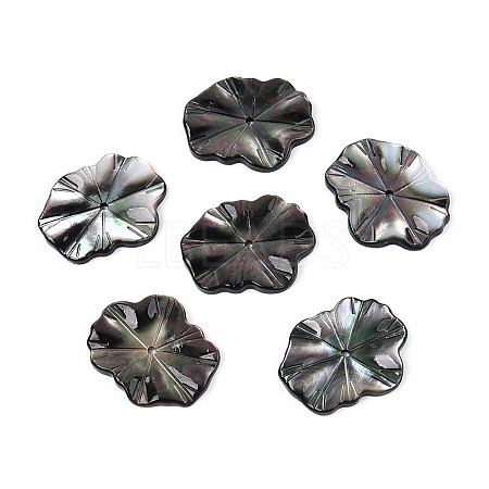 Natural Black Lip Shell Carved Leaf Beads BSHE-T014-31B-1