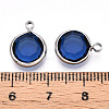 K9 Glass Charms X1-GLAA-T023-37B-06-3