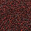 MIYUKI Round Rocailles Beads SEED-X0055-RR4513-2