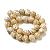 Natural Trochus Shell Beads Strands SHEL-K006-18B-2