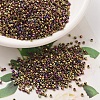 MIYUKI Delica Beads SEED-X0054-DB0029-1