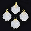 Glass Charms GLAA-N036-02B-2