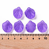 Transparent Frosted Acrylic Pendants MACR-S371-01A-747-4