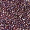 TOHO 6/0 Round Beads SEED-TR06-0166B-3