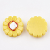 Resin Cabochons CRES-S358-20-2