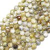 Natural Yellow Opal Beads Strands G-K389-B32-01-1