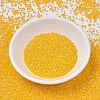 MIYUKI Delica Beads SEED-J020-DB1572-3