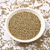 MIYUKI Delica Beads SEED-JP0008-DB1153-2