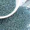 MIYUKI Round Rocailles Beads X-SEED-G009-RR3205-1