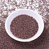 MIYUKI Delica Beads SEED-X0054-DB1013-2
