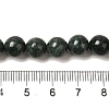 Natural Black Jade Beads Strands G-H067-A03-8MM-5