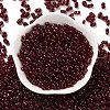 Glass Seed Beads SEED-L011-02A-09-2