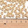 TOHO 3/0 Round Beads SEED-XTR03-0051-3
