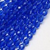 Glass Beads Strands LS-EGLA-E010-8x12mm-13-2