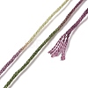 10 Skeins 6-Ply Polyester Embroidery Floss OCOR-K006-A78-3