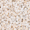 6/0 Glass Seed Beads SEED-N008-07L-3
