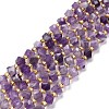Natural Chevron Amethyst Beads Strands G-P463-13-1