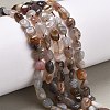 Natural Botswana Agate Beads Strands G-P433-20A-2