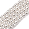 Baking Paint Pearlized Glass Pearl Round Bead Strands PEAR-H019-02B-04-1