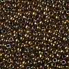 TOHO Round Seed Beads SEED-TR08-0459-2