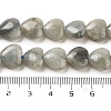 Natural Labradorite Beads Strands G-B022-32C-5