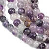 Natural Fluorite Beads Strands G-P530-B04-02A-5