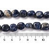 Natural Sodalite Beads Strands G-G146-A03-02-5