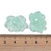 Baking Paint Glass Beads GLAA-S202-13G-3