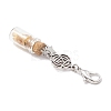 Chakra Natural Lapis Lazuli & Amethyst & Carnelian & Citrine & Garnet & Green Aventurine & Synthetic Turquoise Chips inside Glass Wishing Bottle Pendant Decoration HJEW-JM03308-5