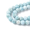 Natural Larimar Beads Strands G-B141-01-6mm-4