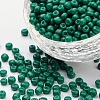 Baking Paint Glass Seed Beads SEED-S001-K26-1