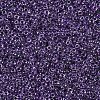MIYUKI Round Rocailles Beads SEED-X0054-RR0223-3
