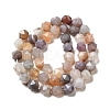 Natural Botswana Agate Beads Strands G-K382-A14-02-3