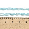 Natural Freshwater Shell Beads Strands SHEL-C010-01C-4