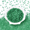 FGB Frosted Transparent Glass Seed Beads SEED-N013-06A-09-2